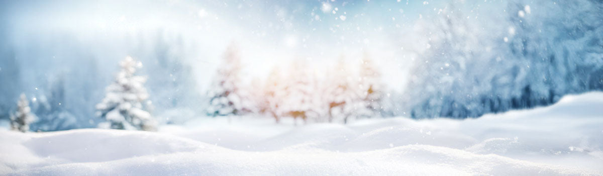 Snowy background with trees in the background