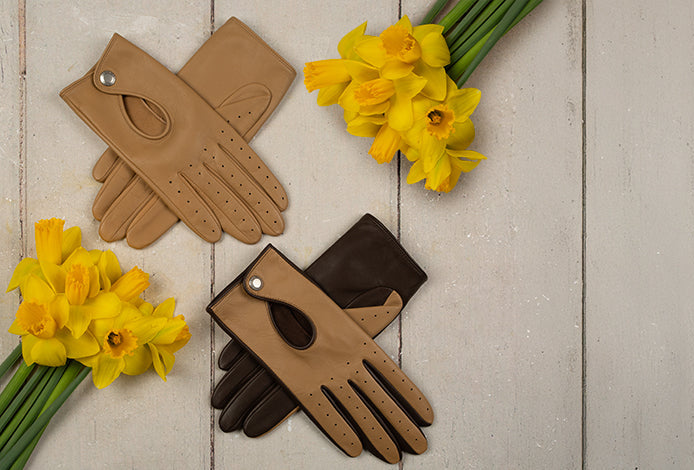 Leather gloves in toffee laid out between daffodils 