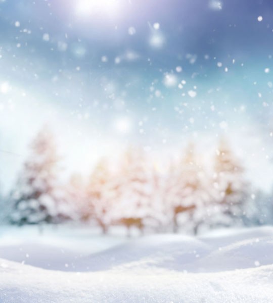 A snowy background with trees in the back