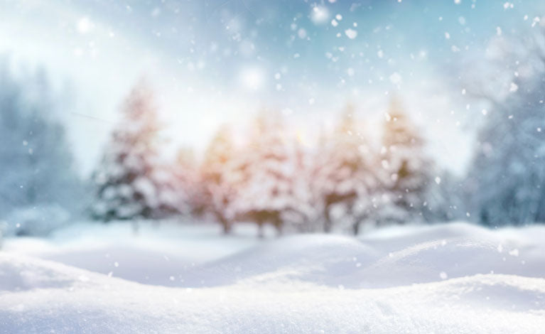 A snowy background with trees in the back