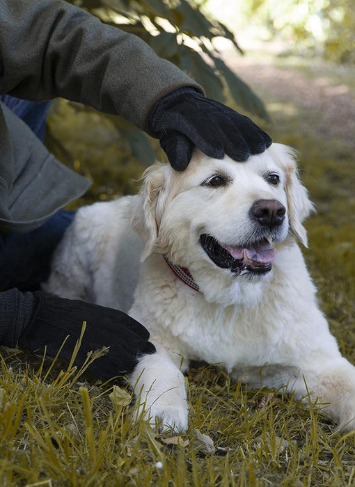 Man wearing Men's Three Point Fleece Lined Suede Gloves Black Charcoal stroking a dog